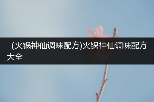 （火锅神仙调味配方)火锅神仙调味配方大全