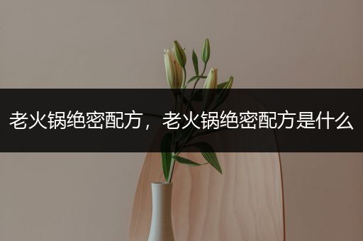 老火锅绝密配方，老火锅绝密配方是什么