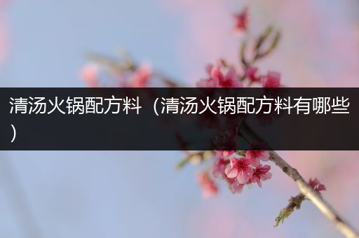 清汤火锅配方料（清汤火锅配方料有哪些）