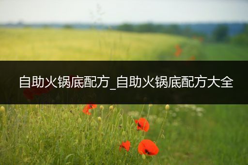 自助火锅底配方_自助火锅底配方大全