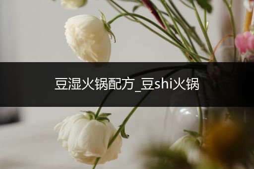 豆湿火锅配方_豆shi火锅