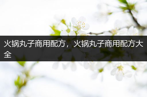 火锅丸子商用配方，火锅丸子商用配方大全