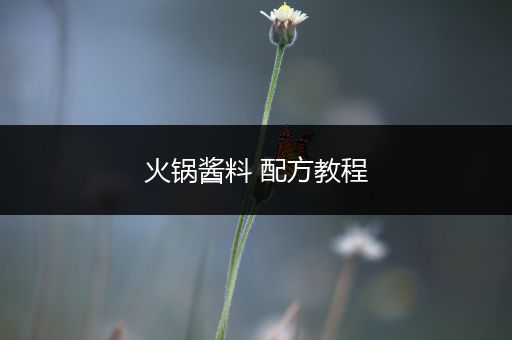 火锅酱料 配方教程