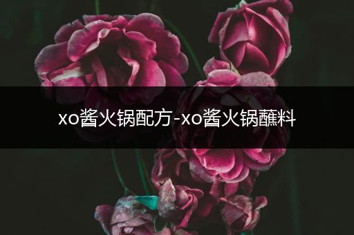 xo酱火锅配方-xo酱火锅蘸料