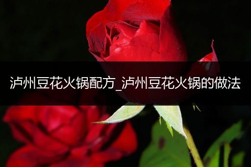 泸州豆花火锅配方_泸州豆花火锅的做法