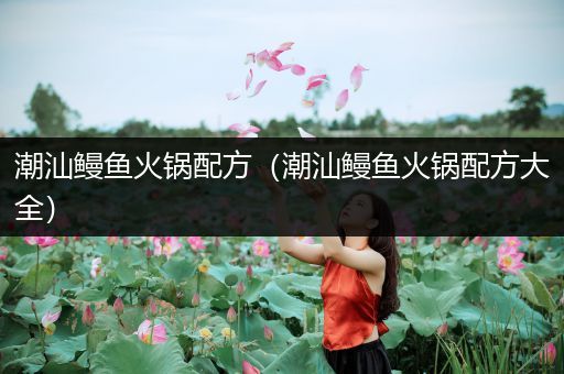 潮汕鳗鱼火锅配方（潮汕鳗鱼火锅配方大全）