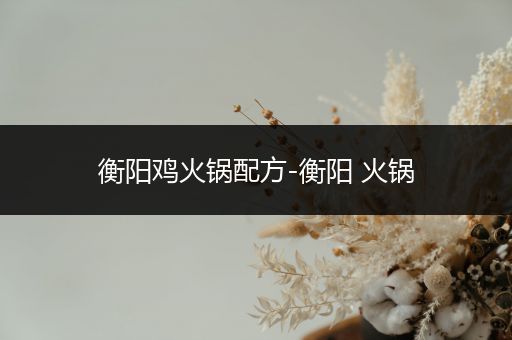 衡阳鸡火锅配方-衡阳 火锅