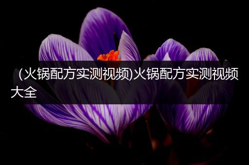 （火锅配方实测视频)火锅配方实测视频大全